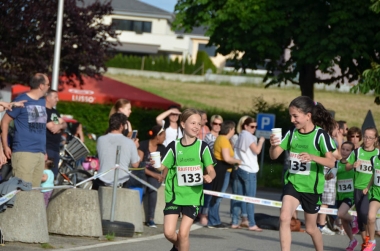 Ausgabe 17.06.2016 - Batzenlauf